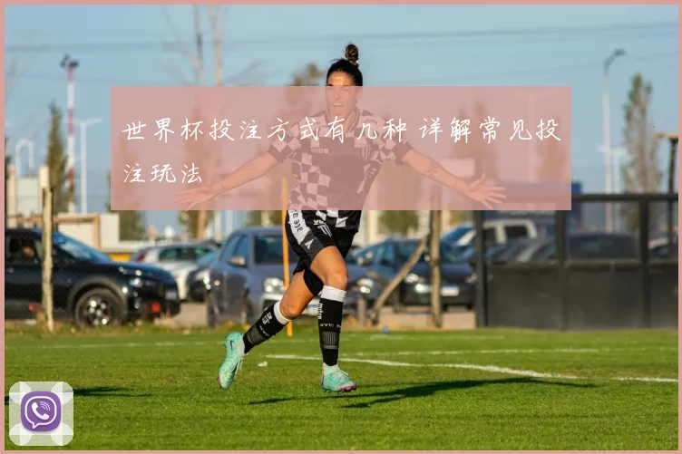 世界杯投注方式有几种 详解常见投注玩法